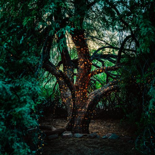 NATUUR MEDITATIE - Connecting with the Calming Rythmn of Nature