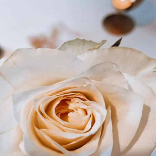 Masterclass The Inner Game