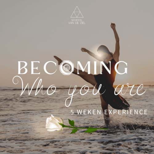 spirituele ontwikkeling coaching healing mentor online progamma