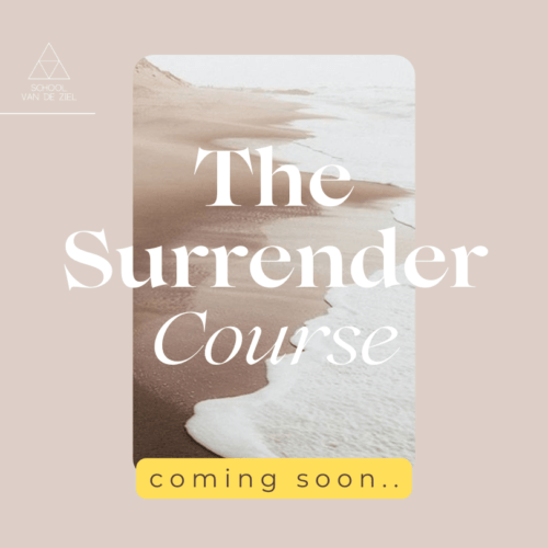 THE SURRENDER COURSE - coming soon..