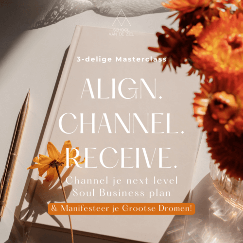soul business channelen zielsmissie bewustzijn bezield ondernemen soulpreneur