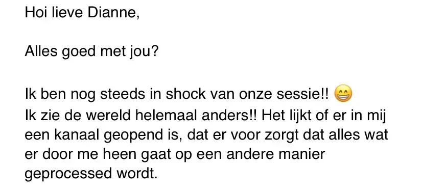 school van de ziel dianne meijer bewustzijn spiritueel coach healer business meditatie haarlem amsterdam