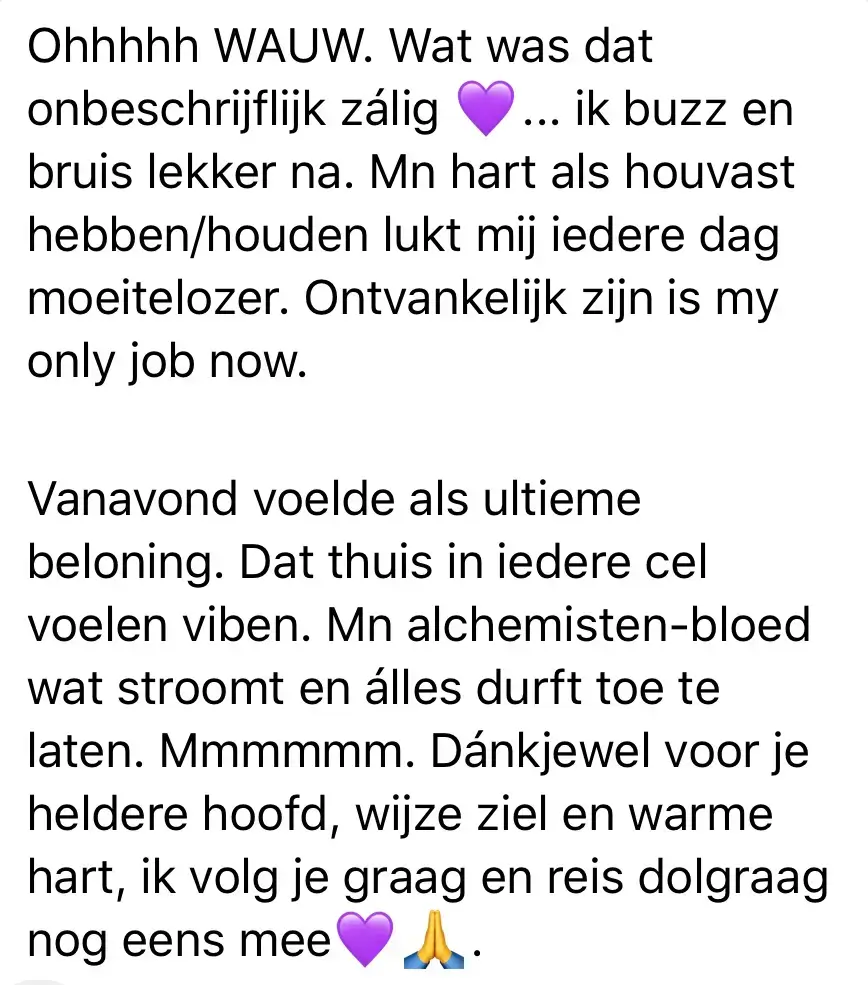 school van de ziel dianne meijer bewustzijn spiritueel business coach coaching meditatie haarlem oohm