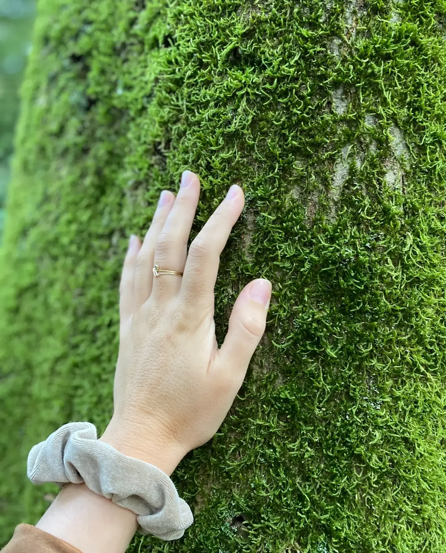 dianne meijer school van de ziel spiritueel business coach coaching healer opleiding trancereizen multi-dimensionaal bewustzijn energetisch persoonlijke ontwikkeling