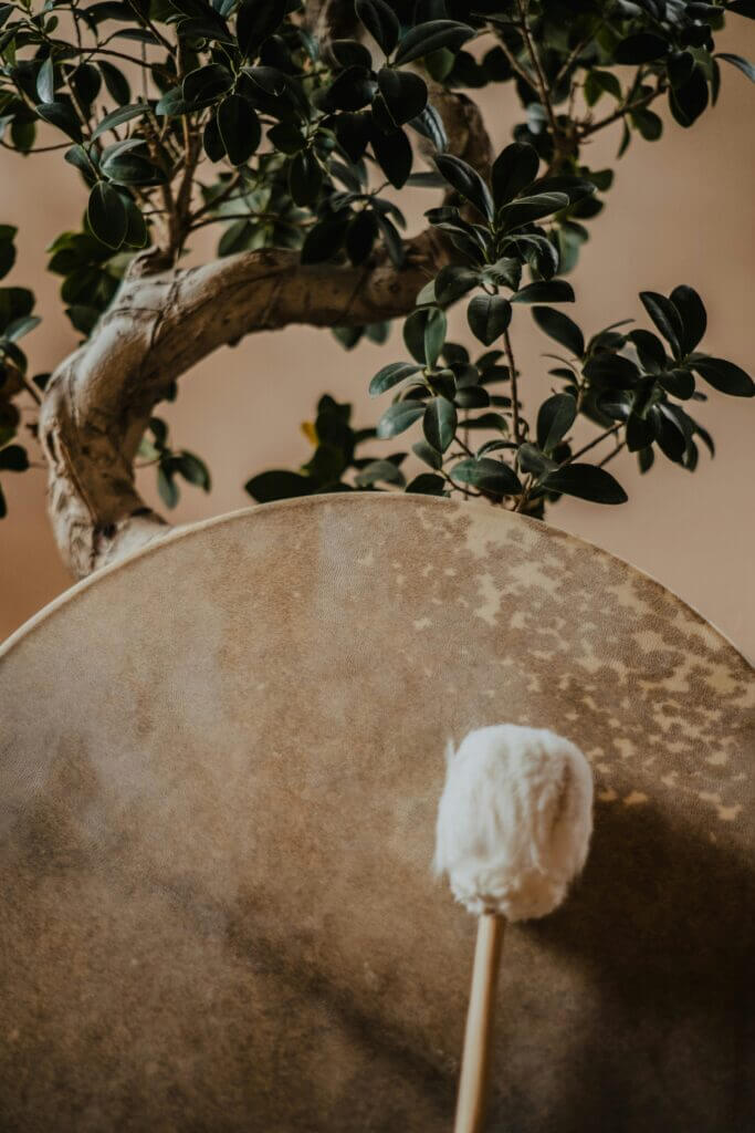 school van de ziel dianne meijer trancereizen spiritueel business coach healer heling