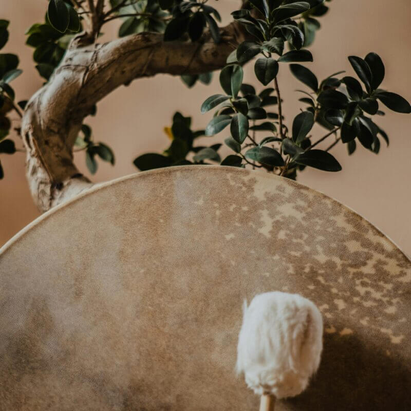 school van de ziel dianne meijer trancereizen spiritueel business coach healer heling